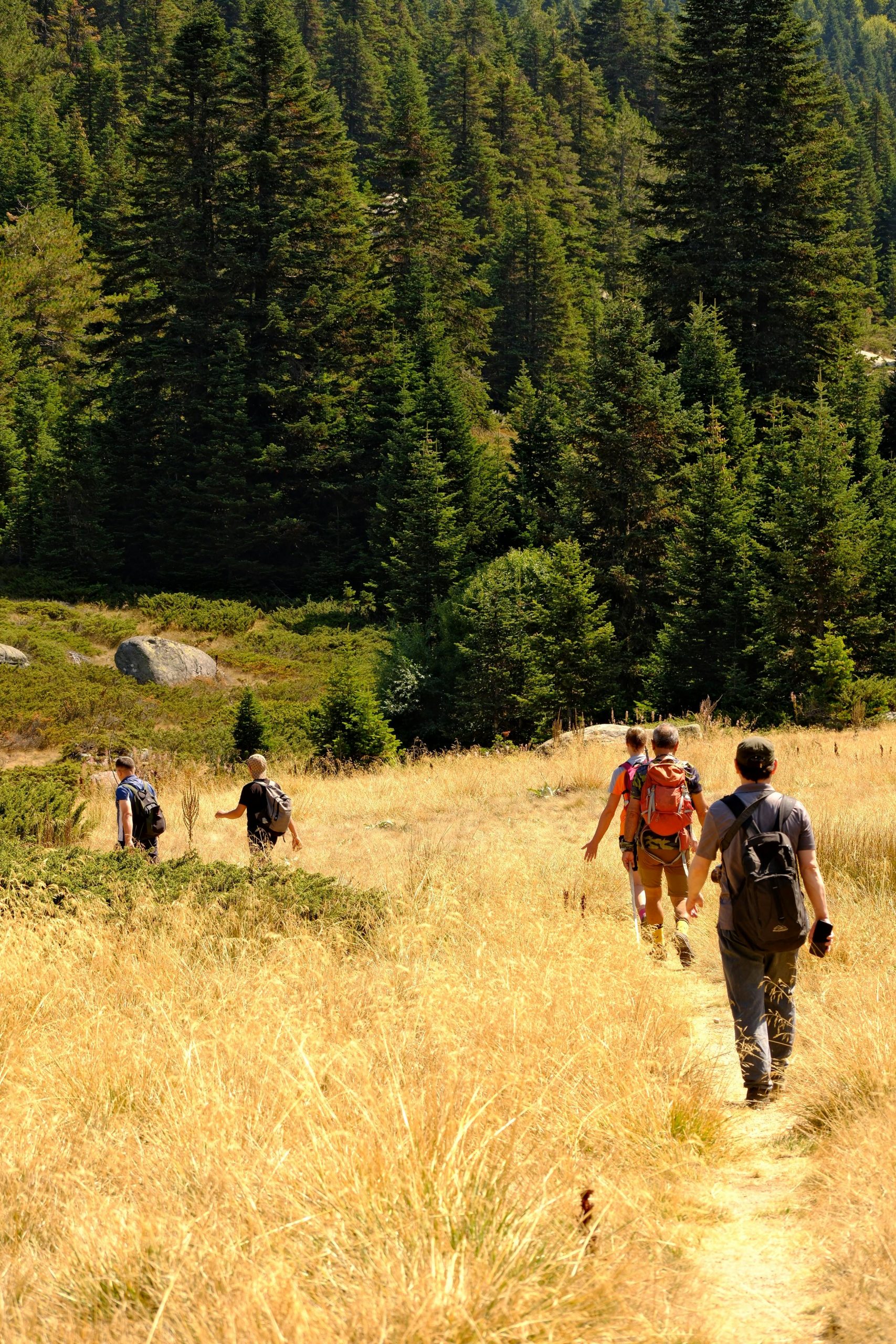 pexels ozan aldemir 2157508360 34792599